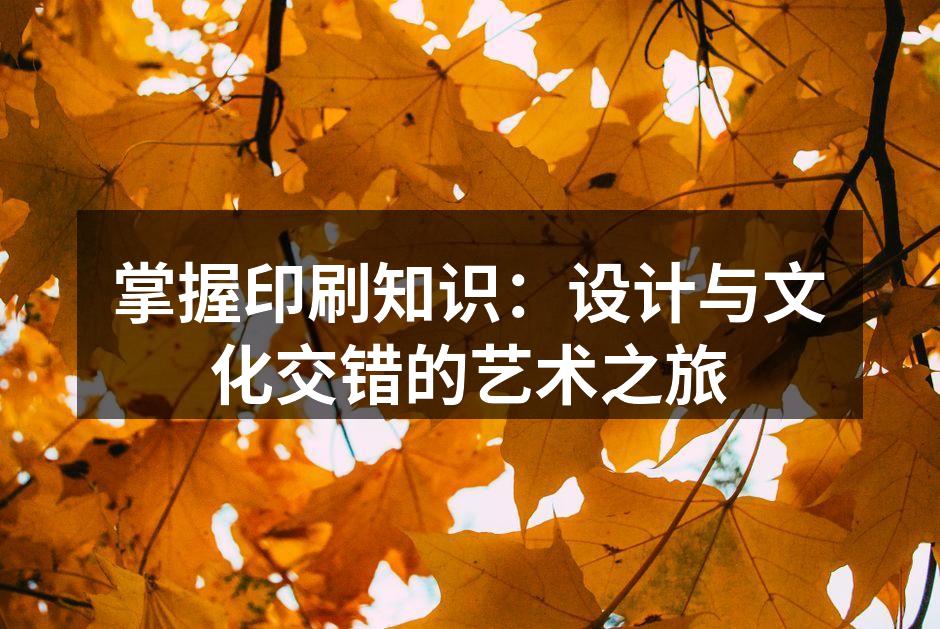 印刷技术展示